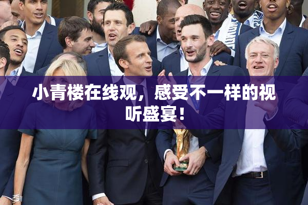 小青楼在线观，感受不一样的视听盛宴！