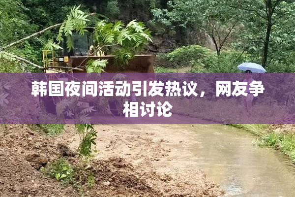 韩国夜间活动引发热议，网友争相讨论