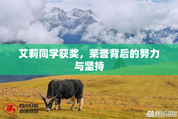 艾莉同学获奖，荣誉背后的努力与坚持