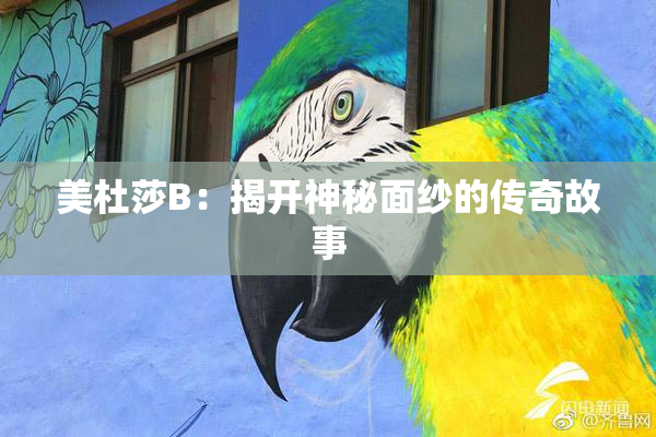 美杜莎B：揭开神秘面纱的传奇故事