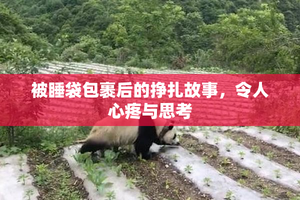 被睡袋包裹后的挣扎故事，令人心疼与思考