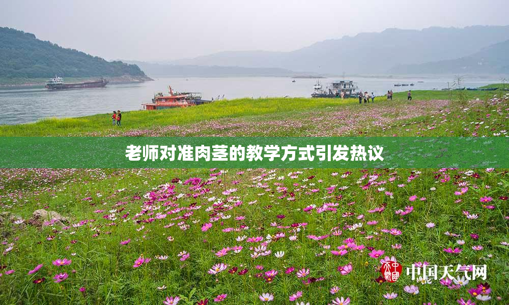 老师对准肉茎的教学方式引发热议