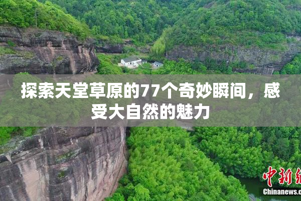 探索天堂草原的77个奇妙瞬间，感受大自然的魅力