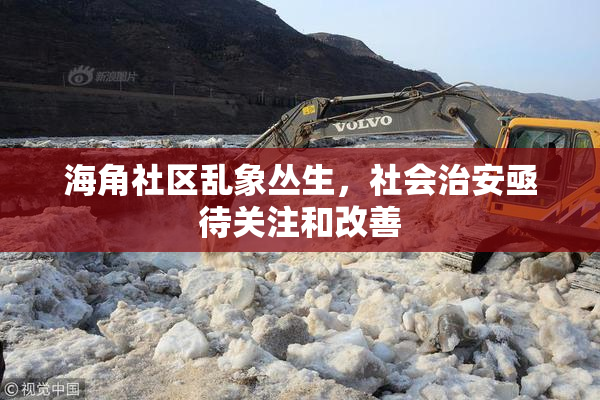 海角社区乱象丛生，社会治安亟待关注和改善