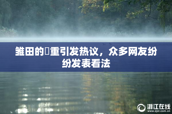 雏田的婬重引发热议，众多网友纷纷发表看法