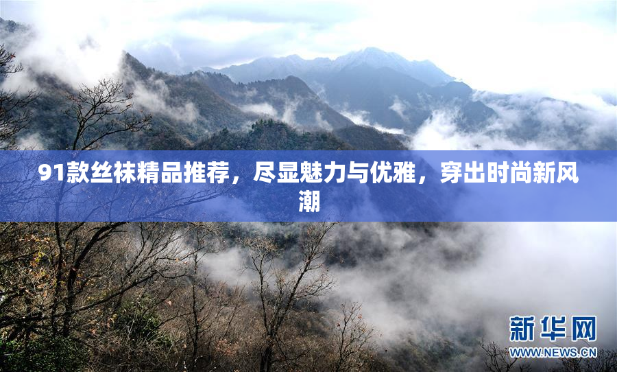 91款丝袜精品推荐，尽显魅力与优雅，穿出时尚新风潮