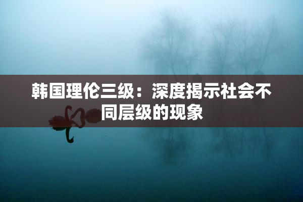 韩国理伦三级：深度揭示社会不同层级的现象