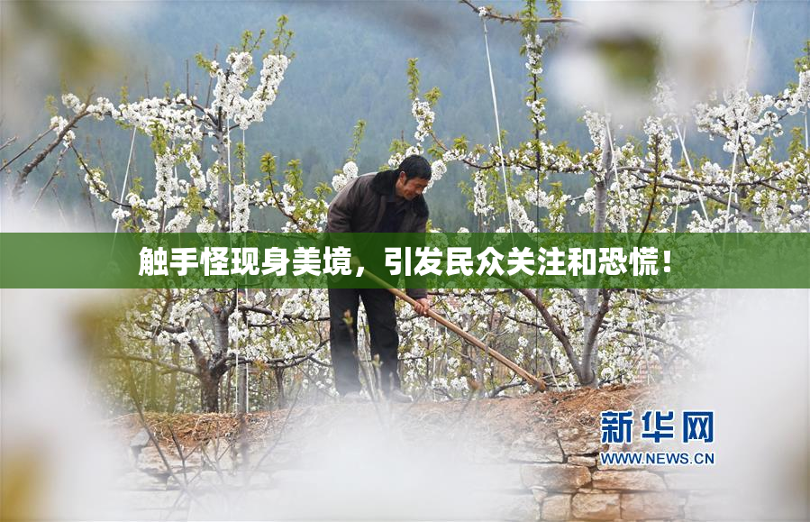 触手怪现身美境，引发民众关注和恐慌！
