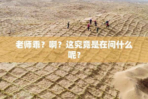 老师乖？啊？这究竟是在问什么呢？