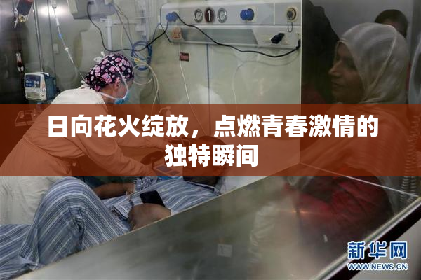 日向花火绽放，点燃青春激情的独特瞬间