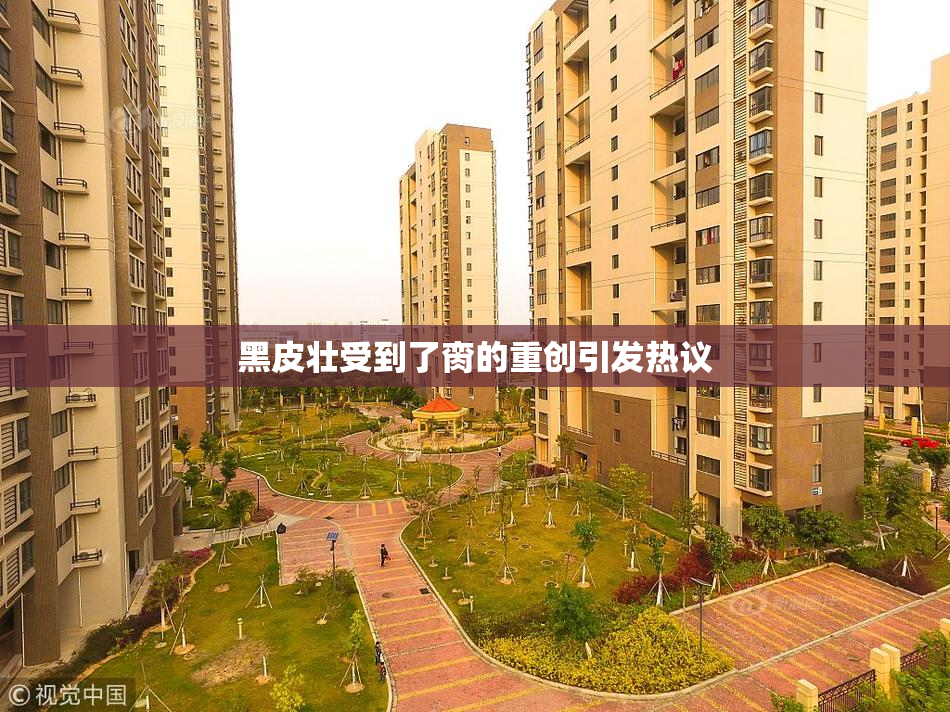 黑皮壮受到了脔的重创引发热议