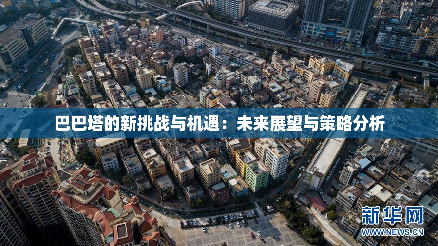 巴巴塔的新挑战与机遇：未来展望与策略分析