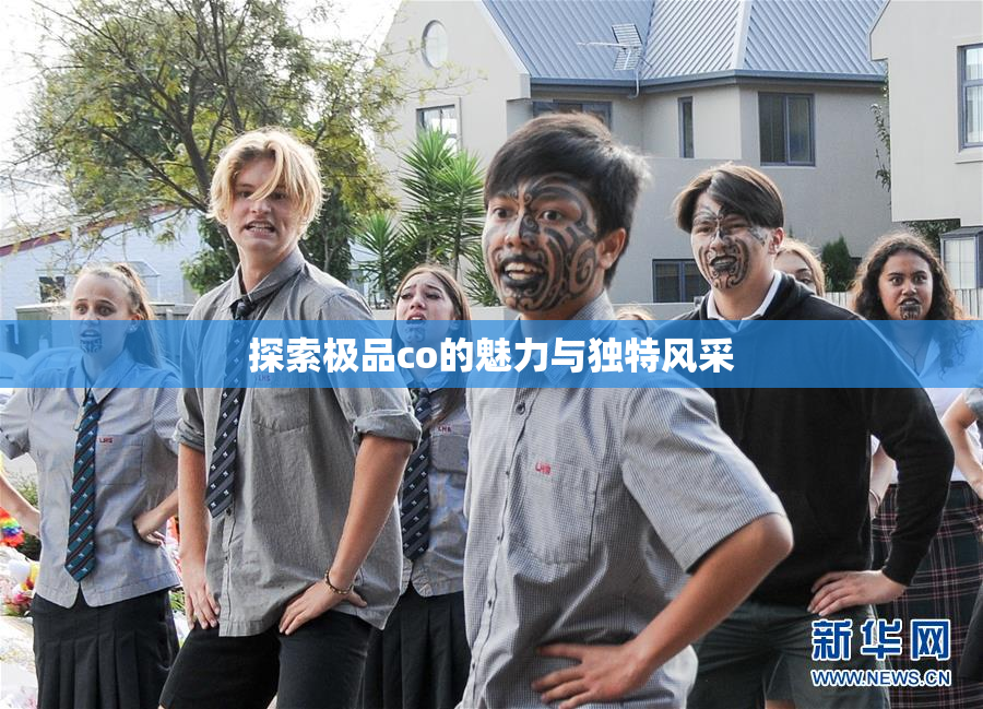探索极品co的魅力与独特风采