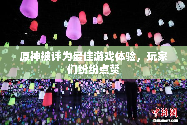 原神被评为最佳游戏体验，玩家们纷纷点赞