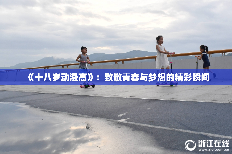 《十八岁动漫高》：致敬青春与梦想的精彩瞬间