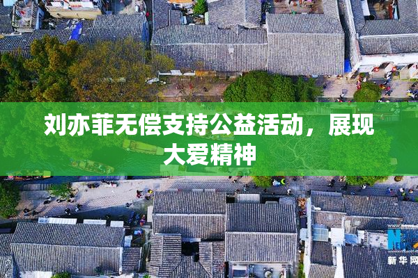 刘亦菲无偿支持公益活动，展现大爱精神