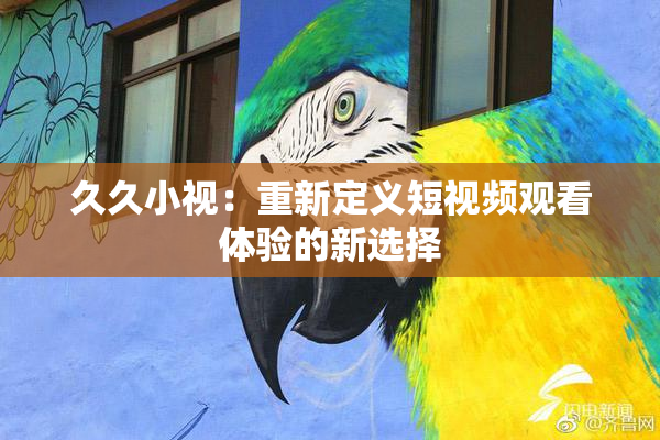 久久小视：重新定义短视频观看体验的新选择