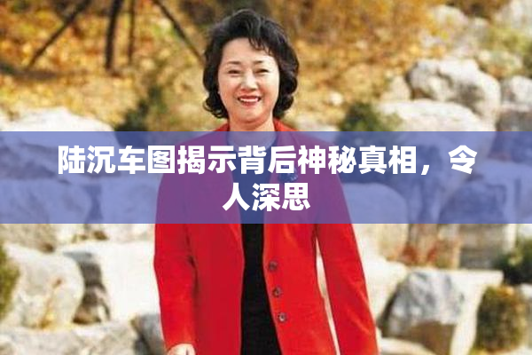 陆沉车图揭示背后神秘真相，令人深思