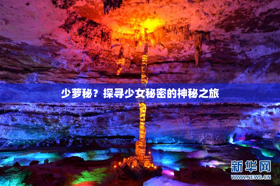 少萝秘？探寻少女秘密的神秘之旅
