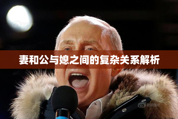 妻和公与媳之间的复杂关系解析