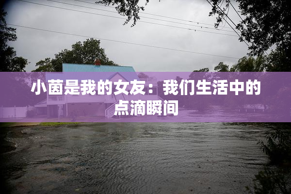 小茵是我的女友：我们生活中的点滴瞬间