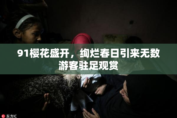 91樱花盛开，绚烂春日引来无数游客驻足观赏