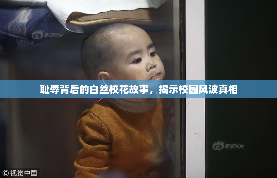 耻辱背后的白丝校花故事，揭示校园风波真相