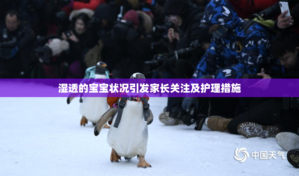湿透的宝宝状况引发家长关注及护理措施