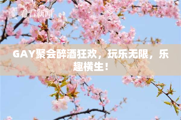 GAY聚会醉酒狂欢，玩乐无限，乐趣横生！