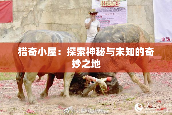 猎奇小屋：探索神秘与未知的奇妙之地
