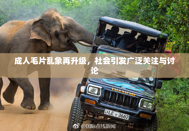 成人毛片乱象再升级，社会引发广泛关注与讨论