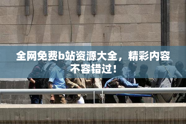 全网免费b站资源大全，精彩内容不容错过！