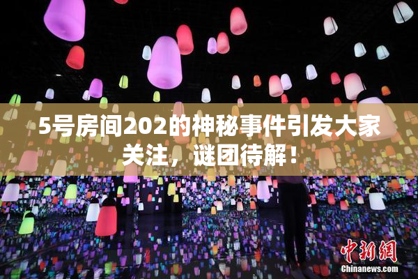 5号房间202的神秘事件引发大家关注，谜团待解！