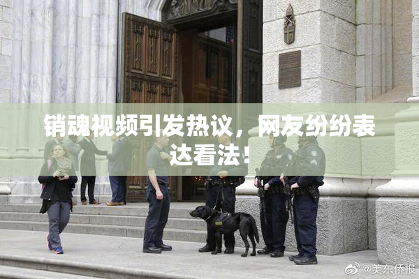销魂视频引发热议，网友纷纷表达看法！