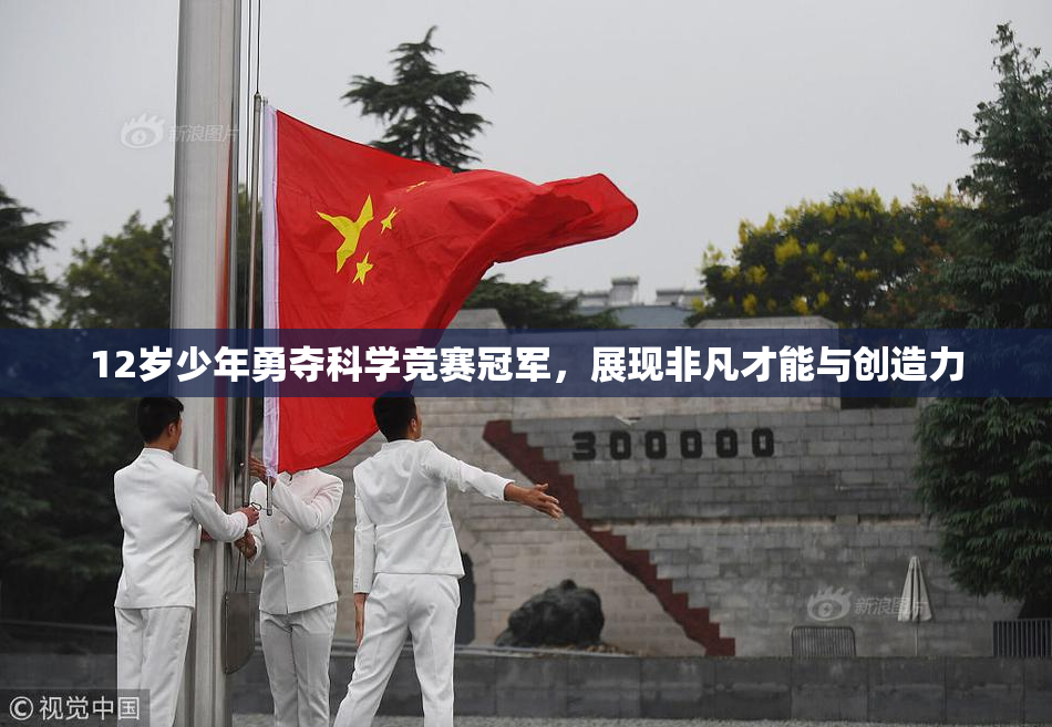 12岁少年勇夺科学竞赛冠军，展现非凡才能与创造力