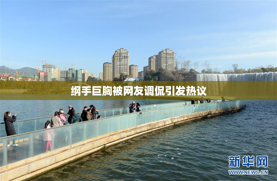 纲手巨胸被网友调侃引发热议