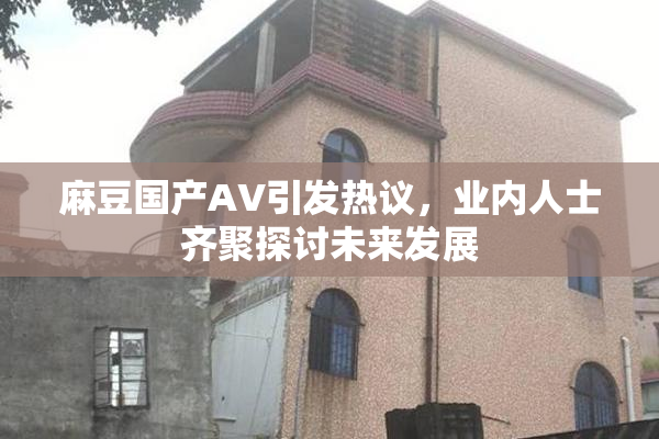 麻豆国产AV引发热议，业内人士齐聚探讨未来发展