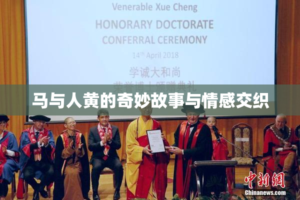 马与人黄的奇妙故事与情感交织
