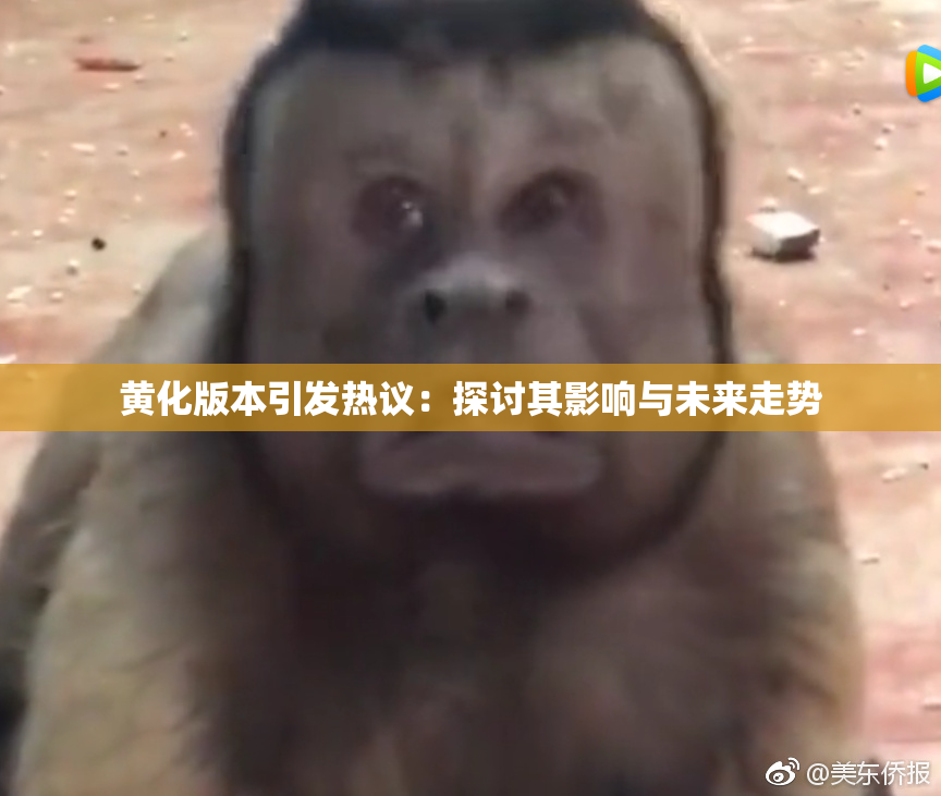 黄化版本引发热议：探讨其影响与未来走势