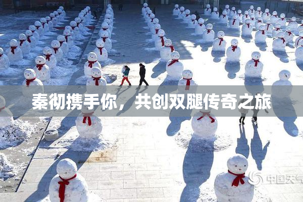 秦彻携手你，共创双腿传奇之旅