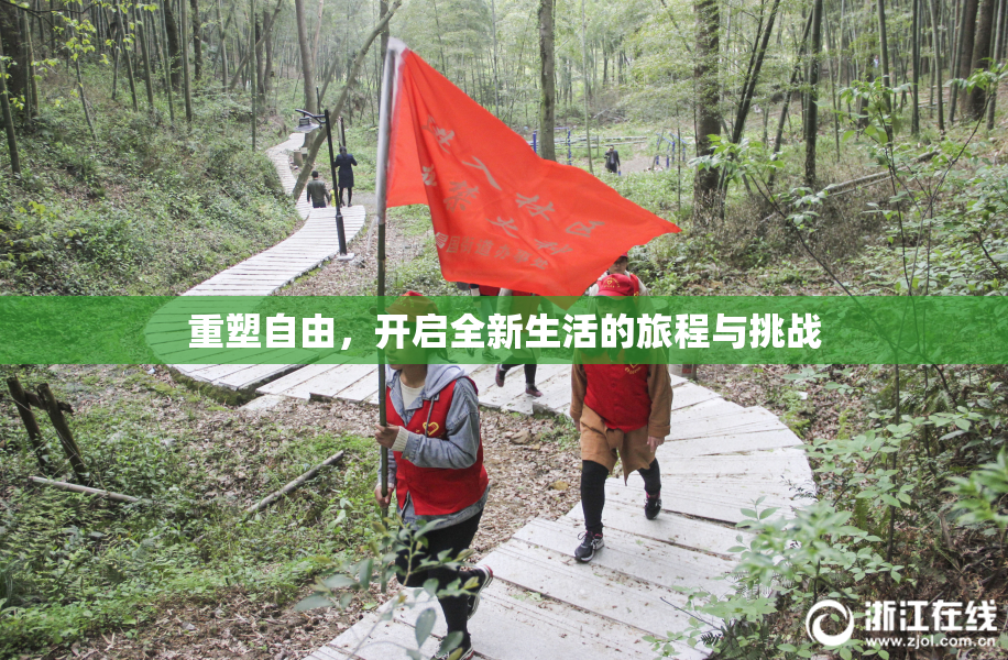 重塑自由，开启全新生活的旅程与挑战