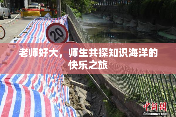 老师好大，师生共探知识海洋的快乐之旅