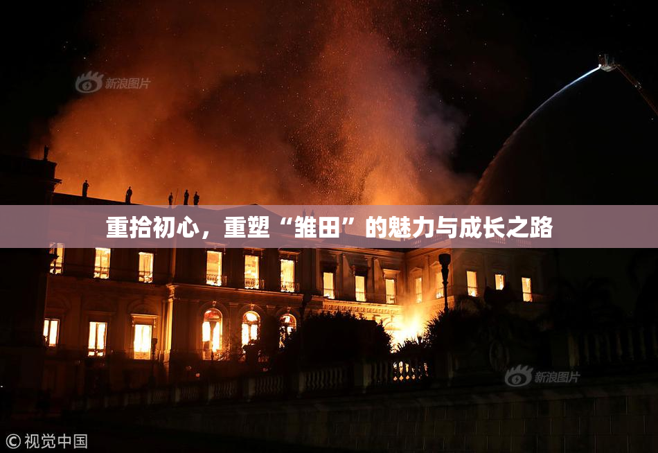 重拾初心，重塑“雏田”的魅力与成长之路