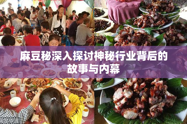 麻豆秘深入探讨神秘行业背后的故事与内幕