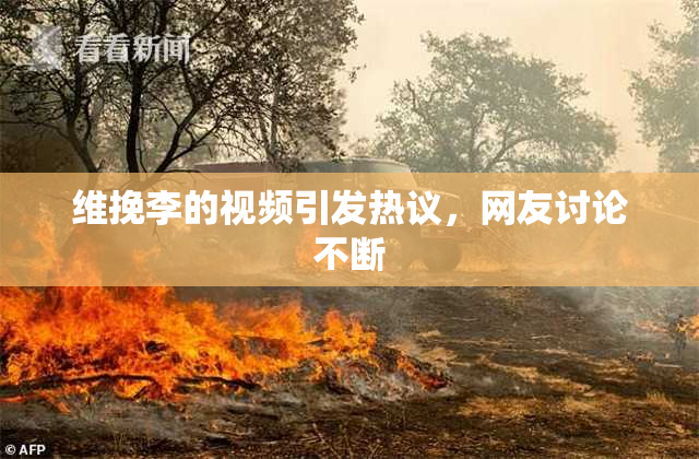 维挽李的视频引发热议，网友讨论不断