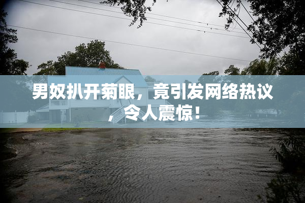 男奴扒开菊眼，竟引发网络热议，令人震惊！