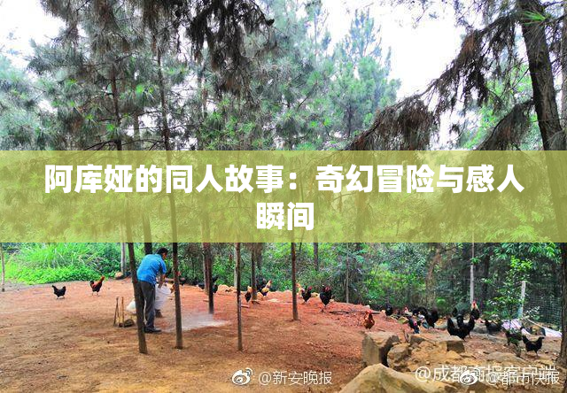 阿库娅的同人故事：奇幻冒险与感人瞬间