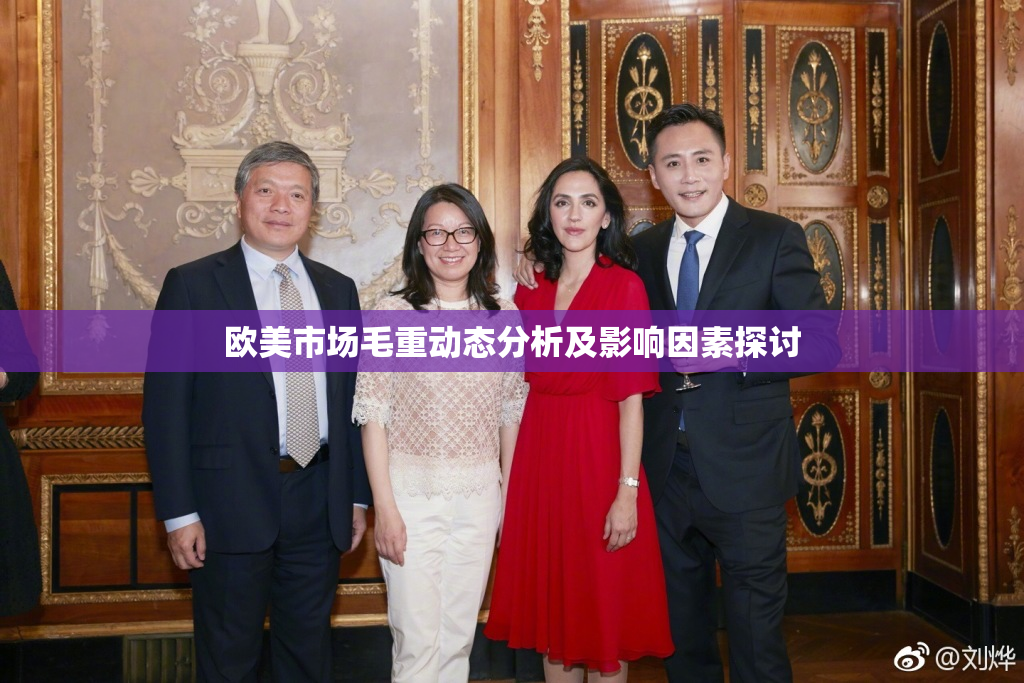 欧美市场毛重动态分析及影响因素探讨