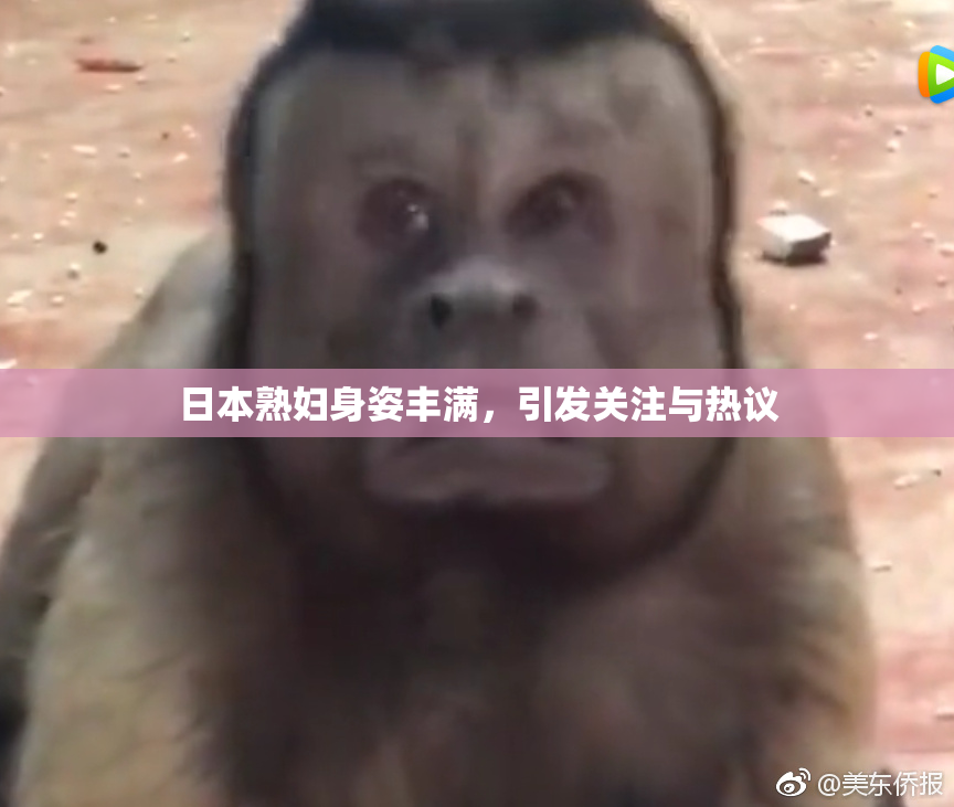 日本熟妇身姿丰满，引发关注与热议