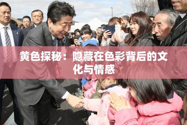 黄色探秘：隐藏在色彩背后的文化与情感
